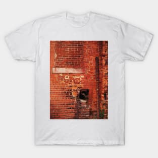 Forgotten Corners T-Shirt